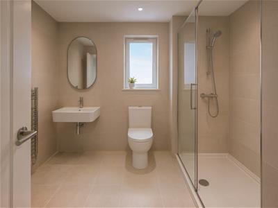 Picture 15